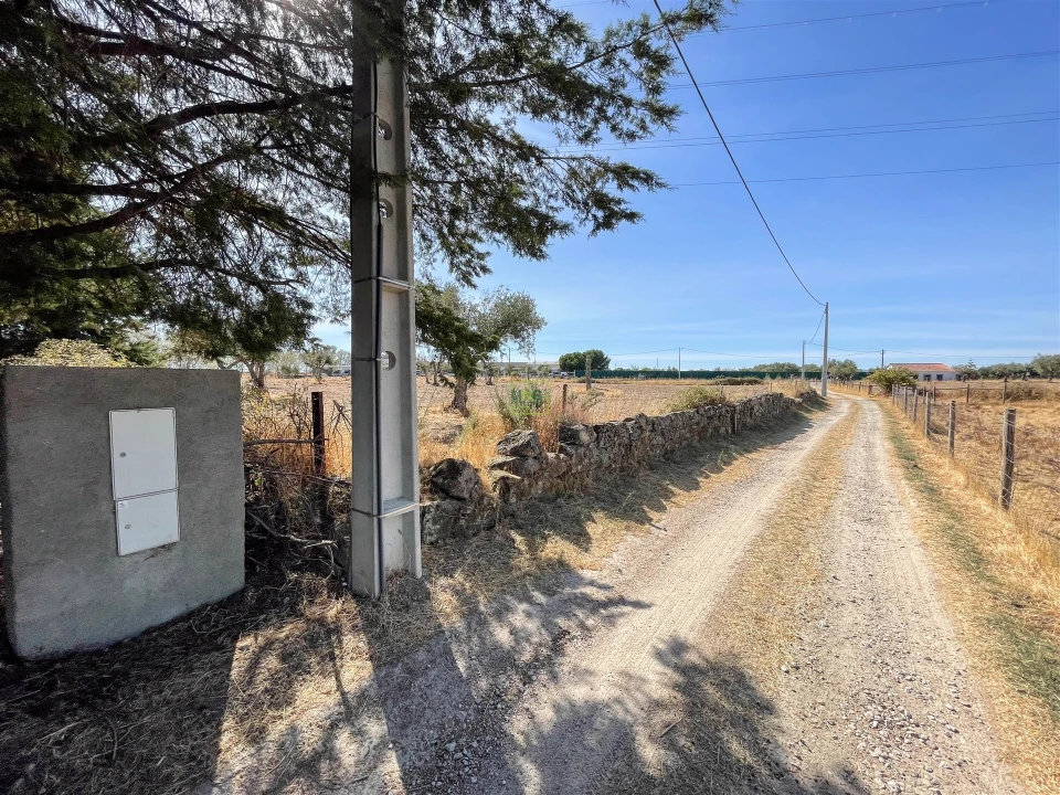 Terreno Agricola ou Rústico para Venda em Lardosa Foto 59