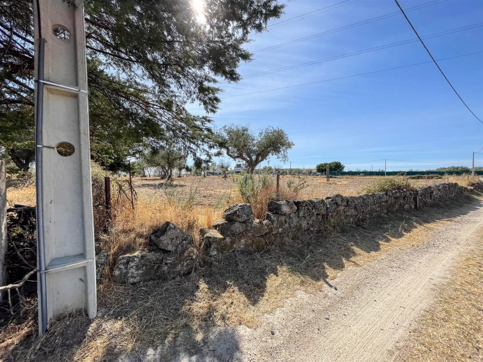 Terreno Agricola ou Rústico para Venda em Lardosa Foto 58