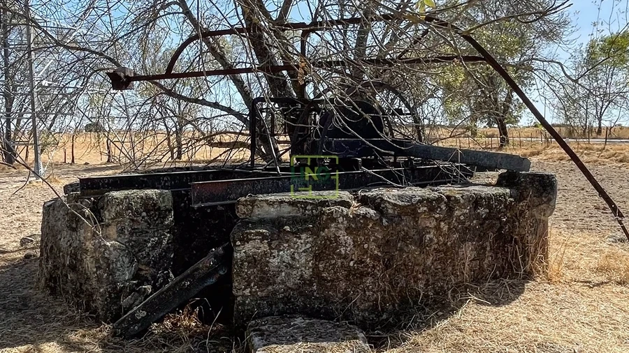 Terreno Agricola ou Rústico para Venda em Lardosa