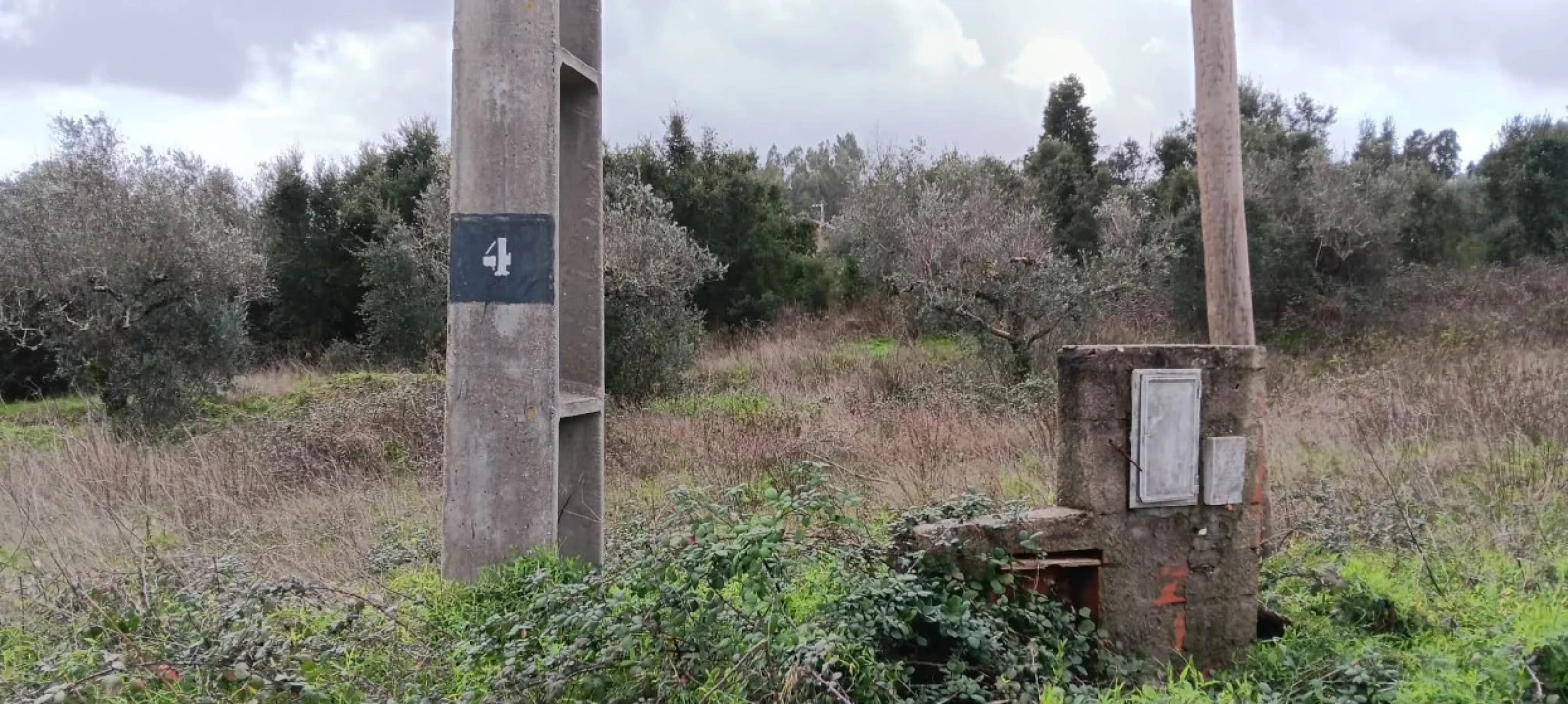 Terreno para Venda em Mação, Penhascoso e Aboboreira Foto 6