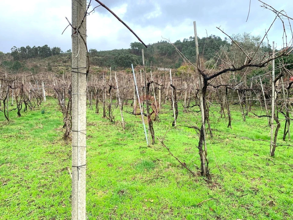 Moradia T3 para Venda em Tangil Foto 12