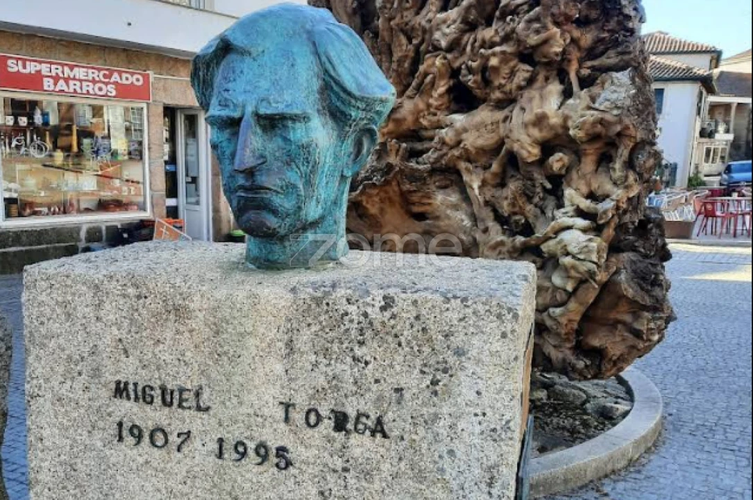 Terreno para Venda em São Martinho de Antas e Paradela de Guiães Foto 11