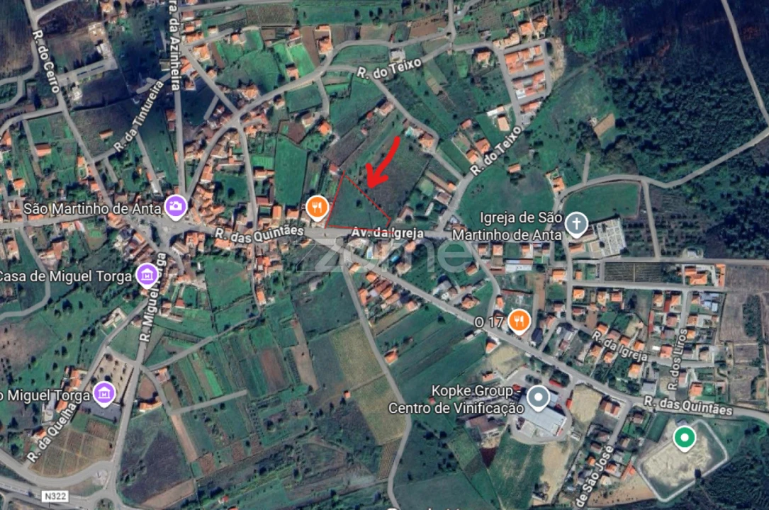 Terreno para Venda em São Martinho de Antas e Paradela de Guiães Foto 6