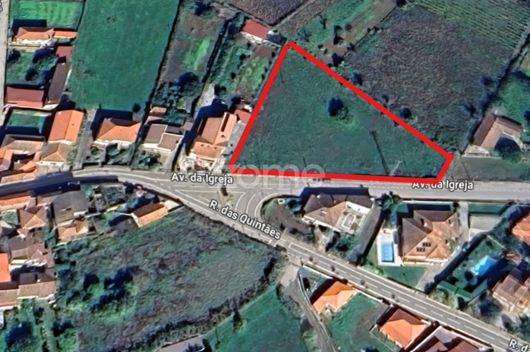 Terreno para Venda em São Martinho de Antas e Paradela de Guiães Foto 8