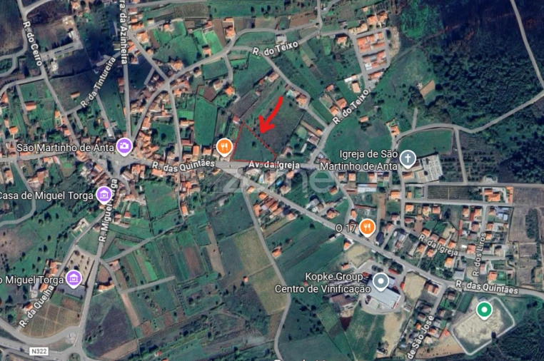 Terreno para Venda em São Martinho de Antas e Paradela de Guiães Foto 6