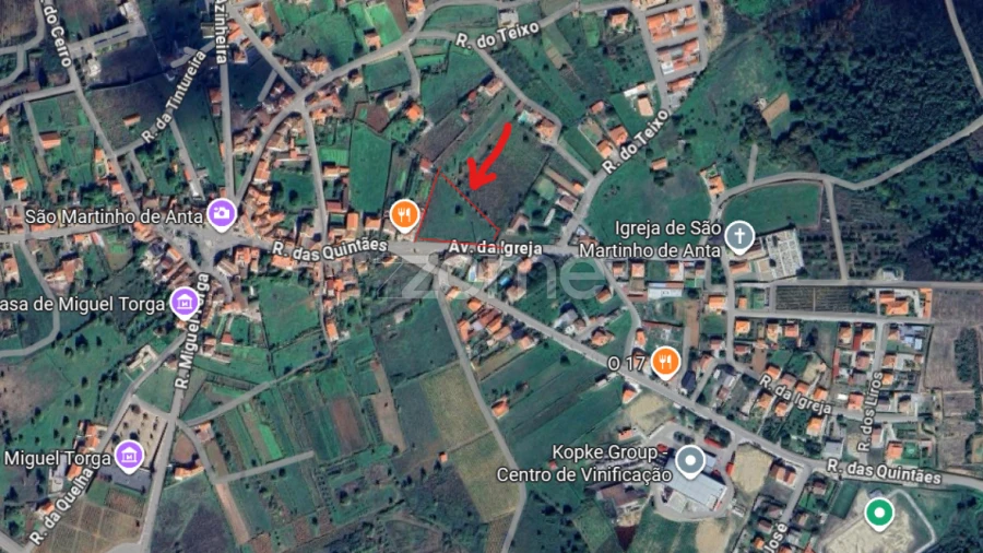 Terreno para Venda em São Martinho de Antas e Paradela de Guiães