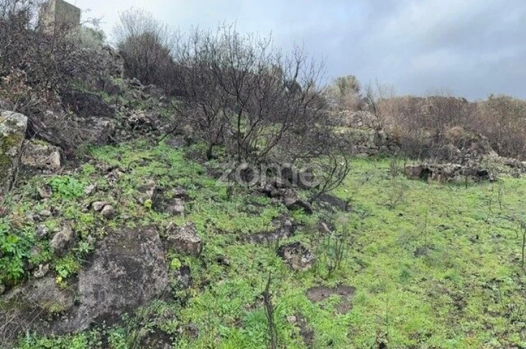 Terreno para Venda em Mêda, Outeiro de Gatos e Fonte Longa Foto 8