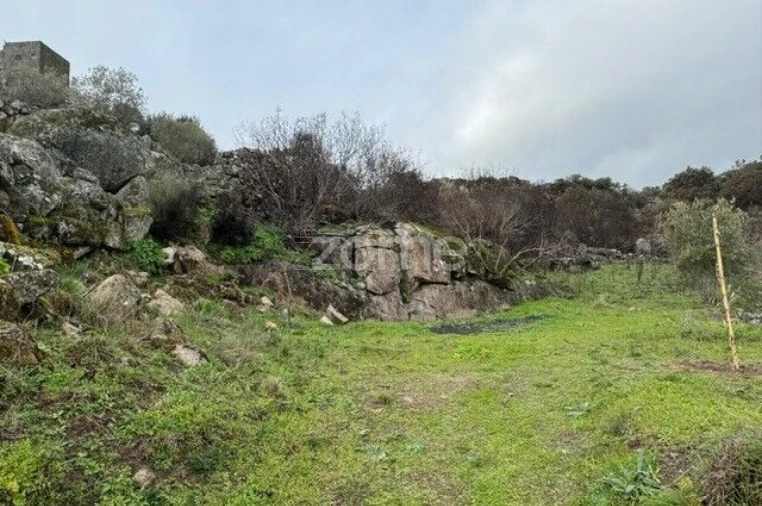 Terreno para Venda em Mêda, Outeiro de Gatos e Fonte Longa Foto 6