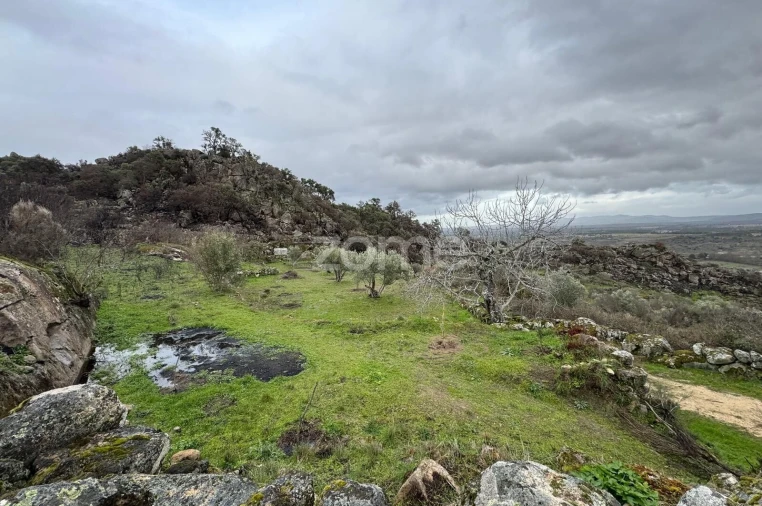 Terreno para Venda em Mêda, Outeiro de Gatos e Fonte Longa Foto 10