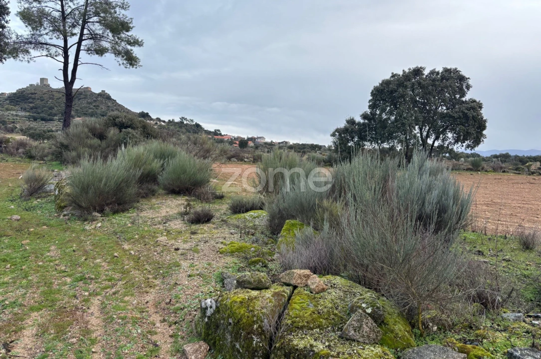 Terreno para Venda em Mêda, Outeiro de Gatos e Fonte Longa Foto 2