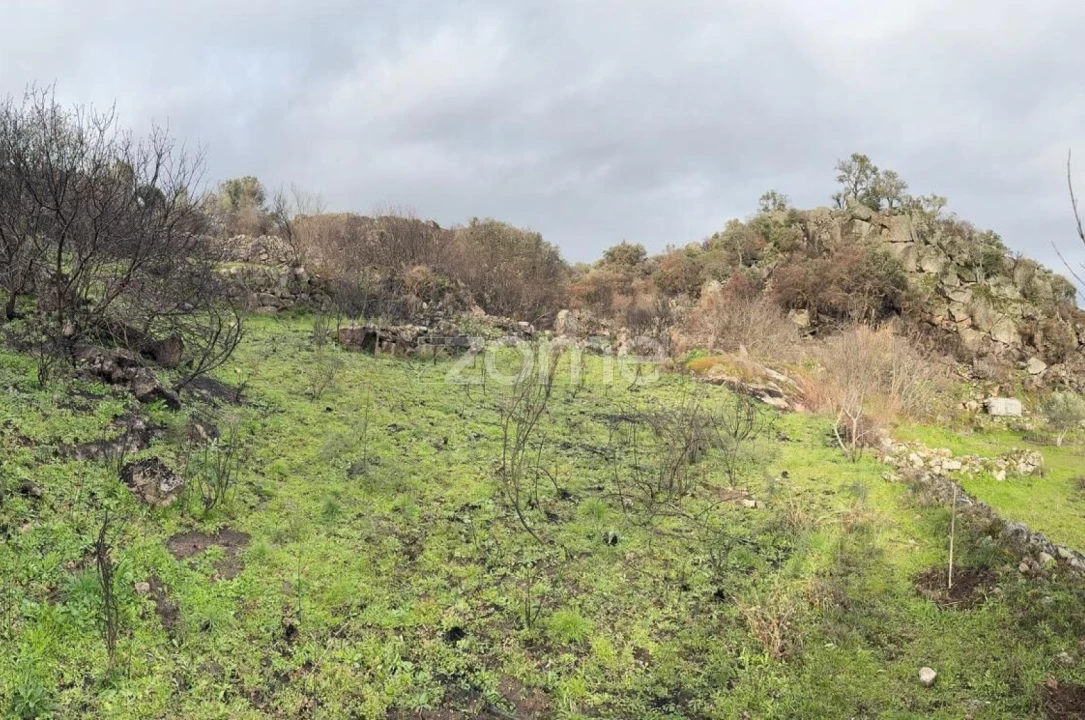 Terreno para Venda em Mêda, Outeiro de Gatos e Fonte Longa Foto 4