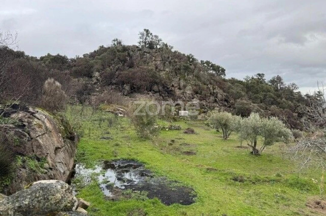 Terreno para Venda em Mêda, Outeiro de Gatos e Fonte Longa Foto 7