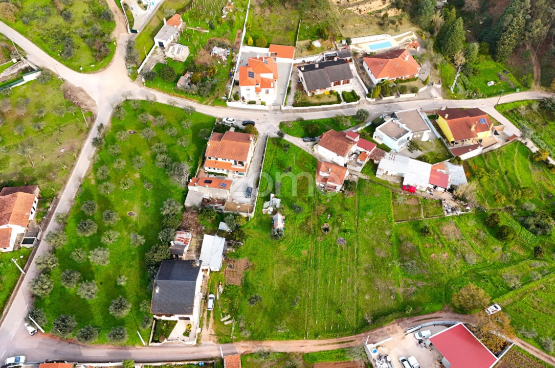 Terreno para Venda em Eiras e São Paulo de Frades Foto 5