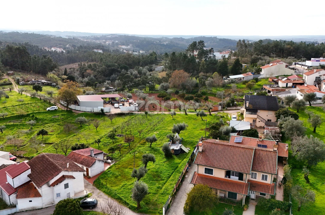 Terreno para Venda em Eiras e São Paulo de Frades Foto 15