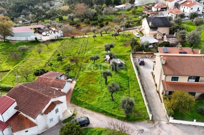 Terreno para Venda em Eiras e São Paulo de Frades