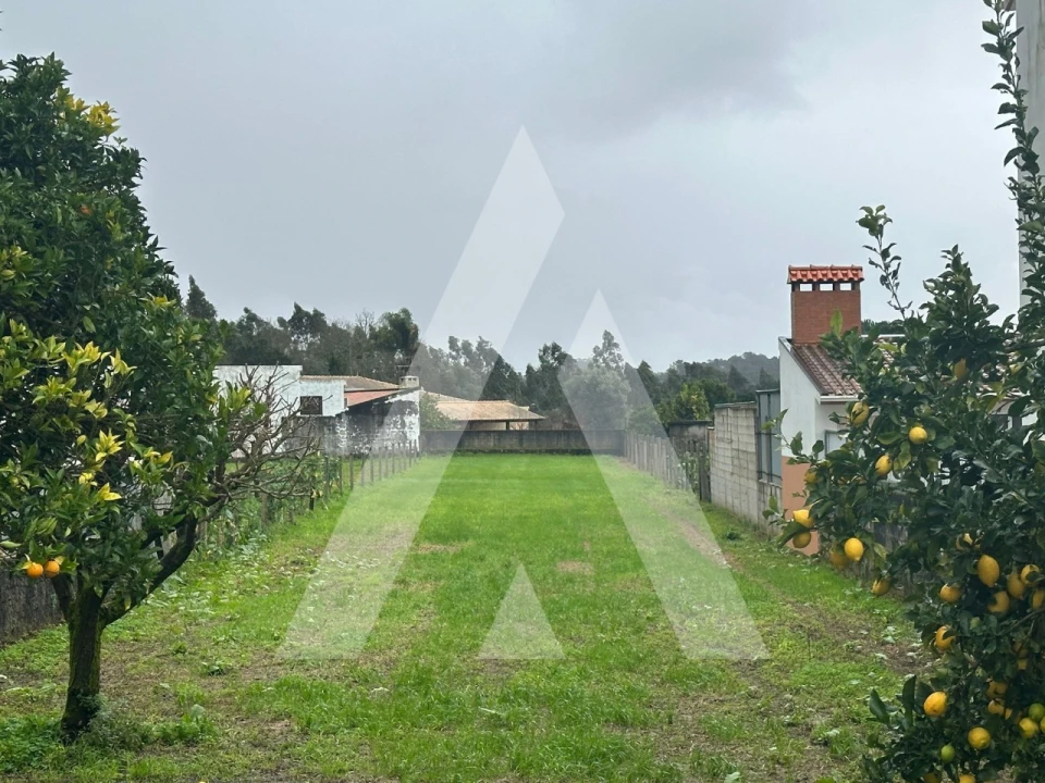 Terreno para Venda em Águeda e Borralha Foto 2