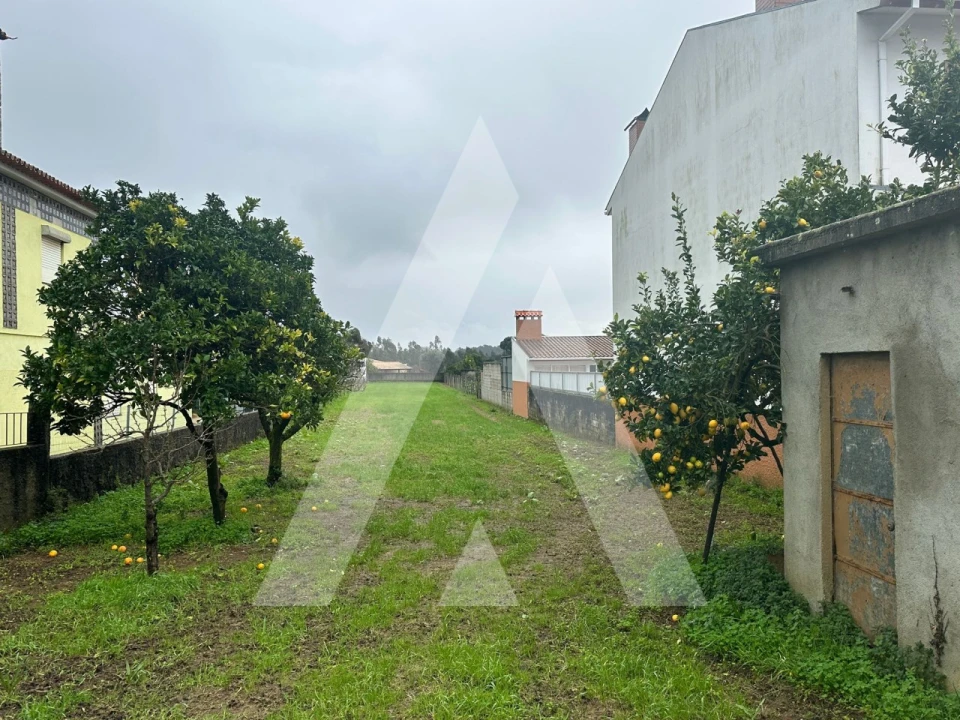 Terreno para Venda em Águeda e Borralha Foto 3