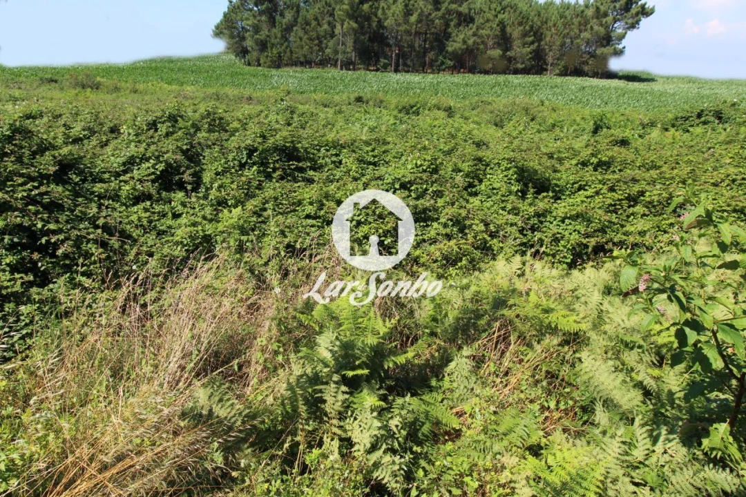 Terreno para Venda em Barqueiros Foto 10