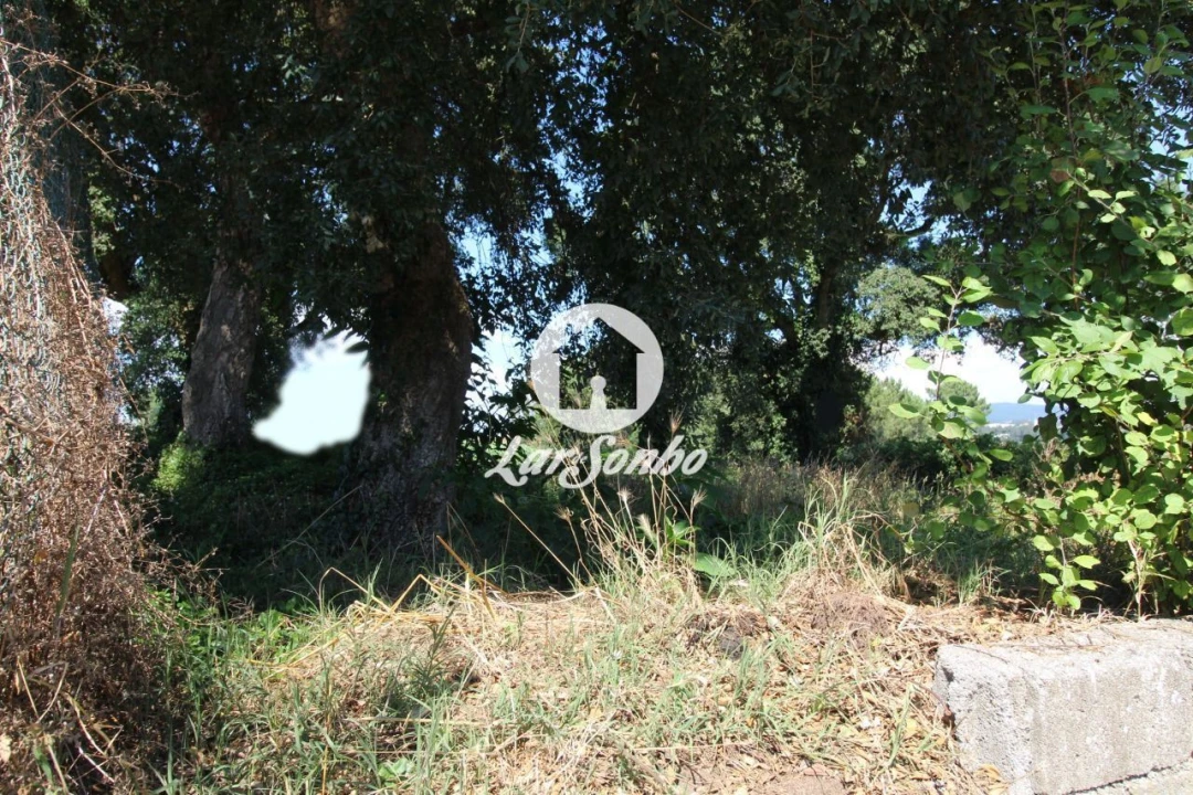 Terreno para Venda em Barqueiros Foto 17