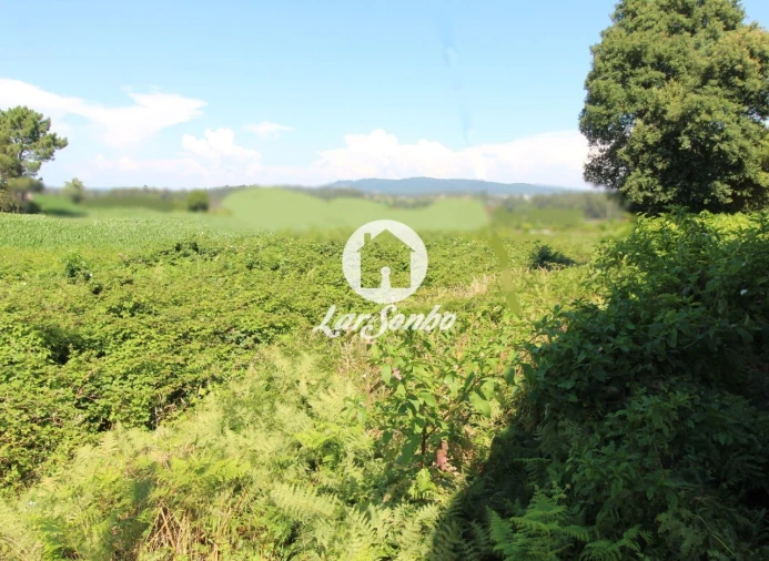 Terreno para Venda em Barqueiros Foto 8