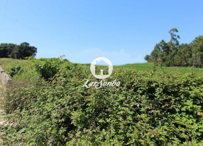 Terreno para Venda em Barqueiros Foto 12