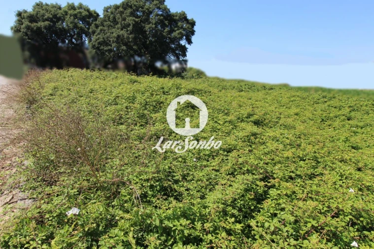 Terreno para Venda em Barqueiros Foto 21