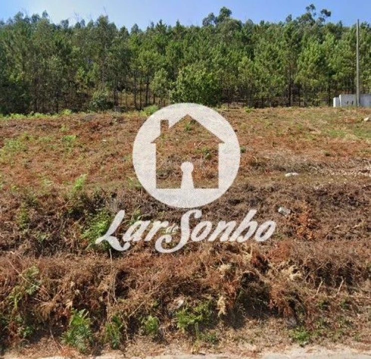 Terreno para Venda em Tamel (Santa Leocádia) e Vilar do Monte Foto 3