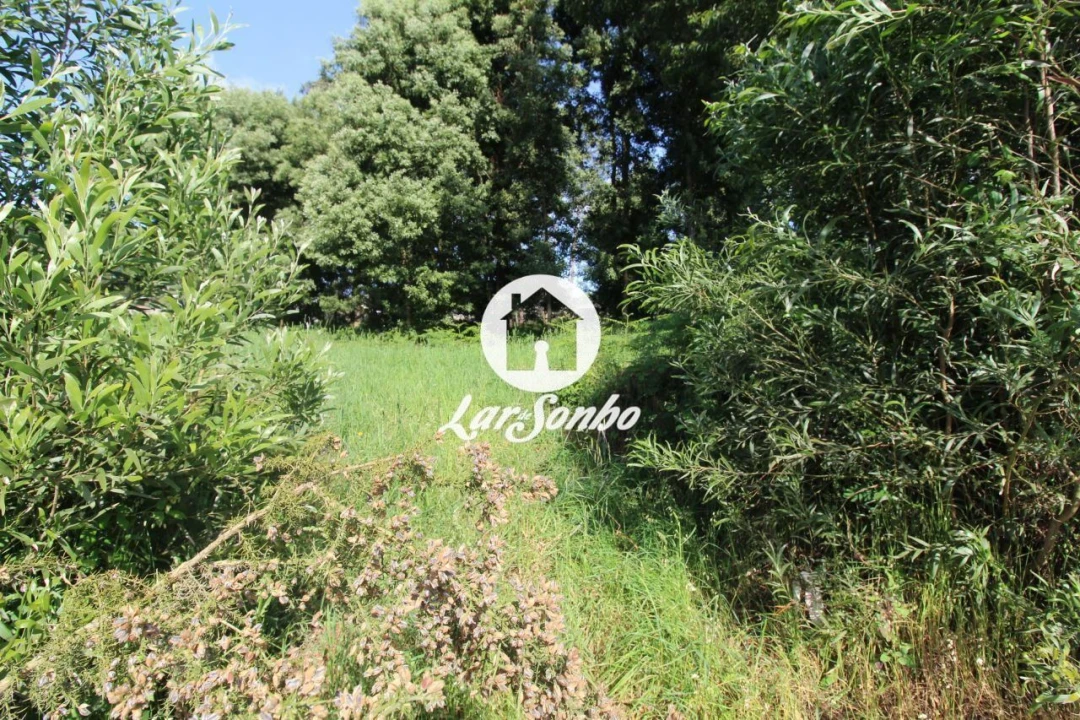 Terreno para Venda em Tamel (Santa Leocádia) e Vilar do Monte Foto 9