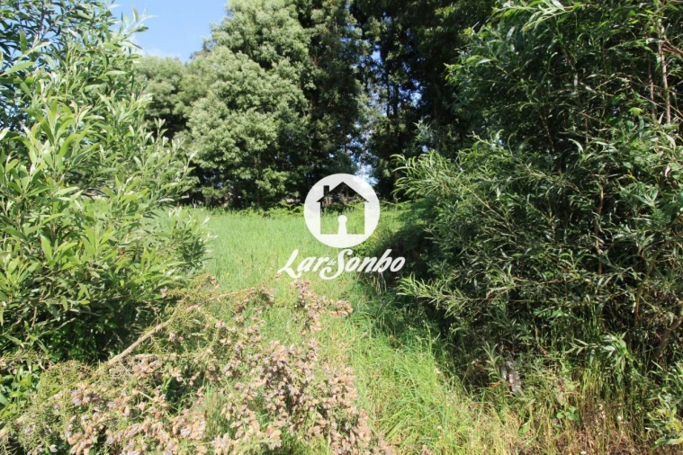 Terreno para Venda em Tamel (Santa Leocádia) e Vilar do Monte Foto 9