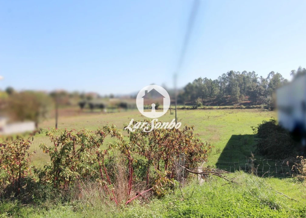 Terreno para Venda em Alvito (São Pedro e São Martinho) e Couto Foto 4