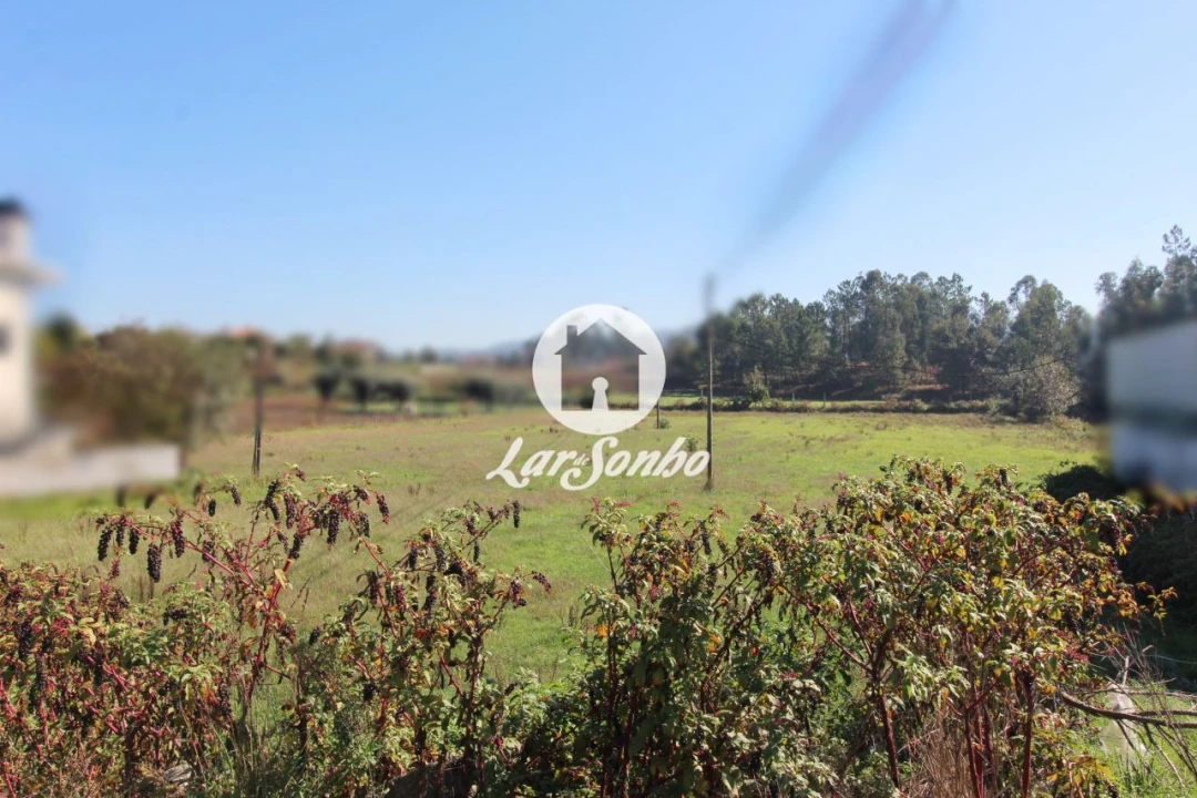 Terreno para Venda em Alvito (São Pedro e São Martinho) e Couto Foto 23