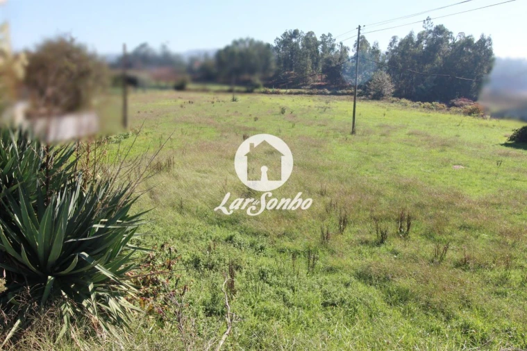 Terreno para Venda em Alvito (São Pedro e São Martinho) e Couto Foto 9