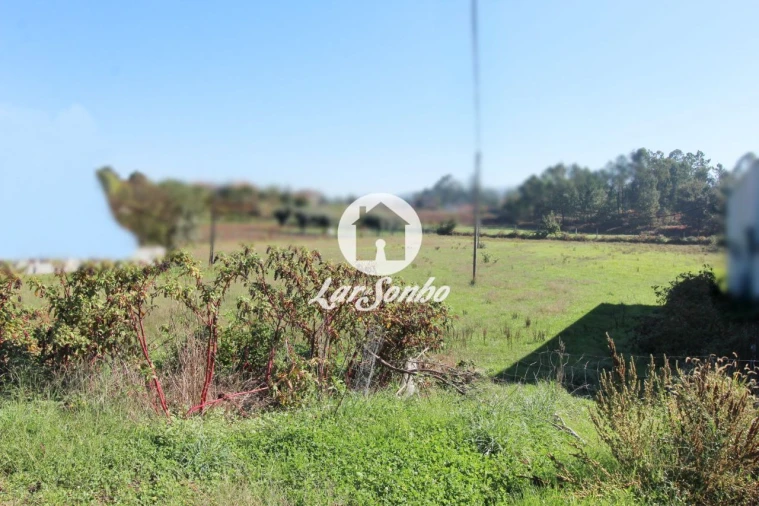 Terreno para Venda em Alvito (São Pedro e São Martinho) e Couto Foto 20