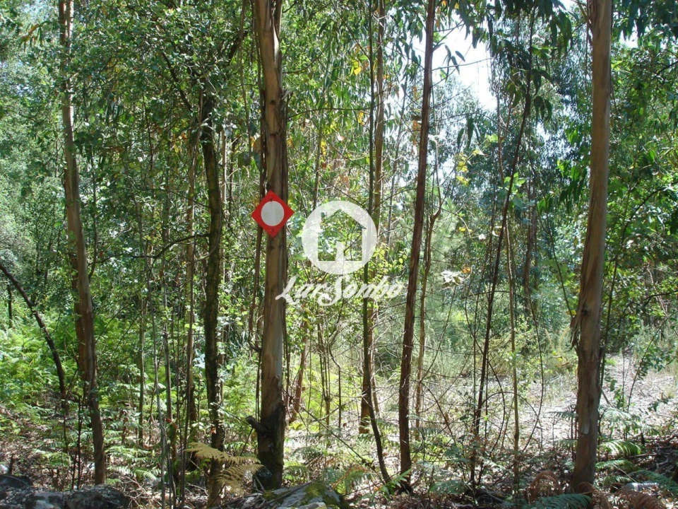 Terreno para Venda em Remelhe Foto 1