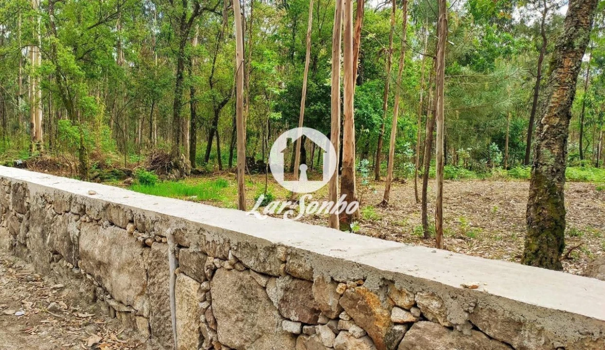 Terreno para Venda em Remelhe Foto 2