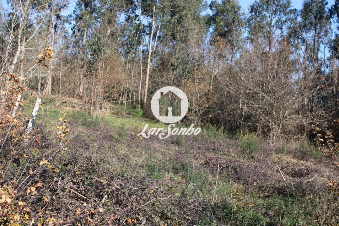 Terreno para Venda em Remelhe Foto 6