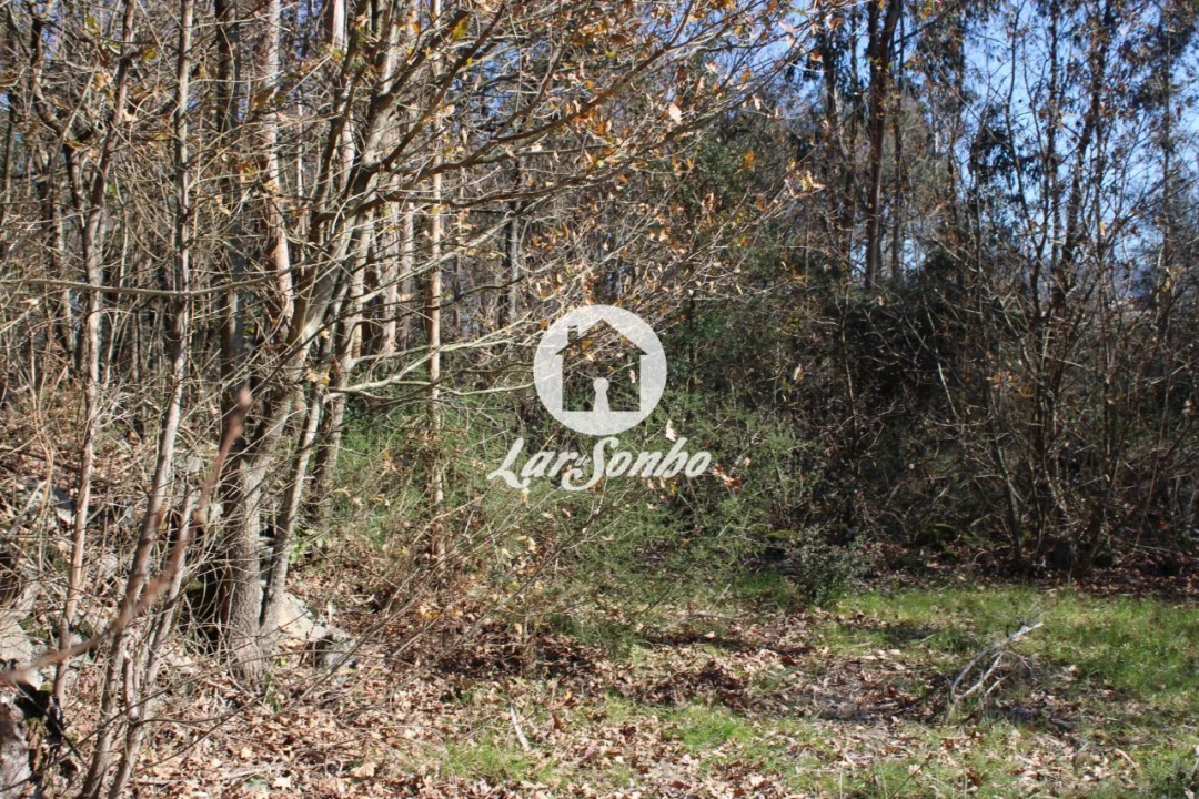 Terreno para Venda em Remelhe Foto 7