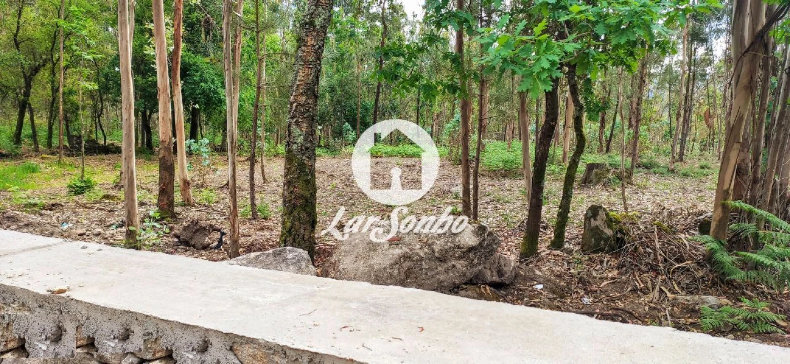 Terreno para Venda em Remelhe Foto 8