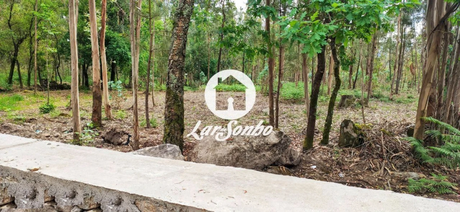 Terreno para Venda em Remelhe Foto 12