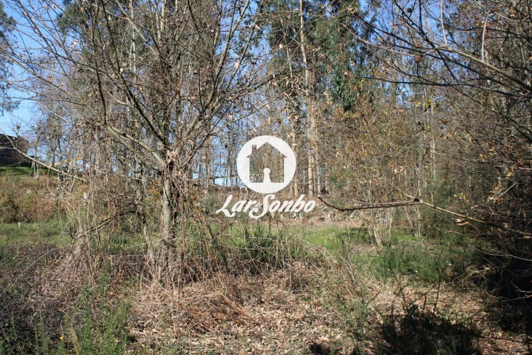 Terreno para Venda em Remelhe Foto 14