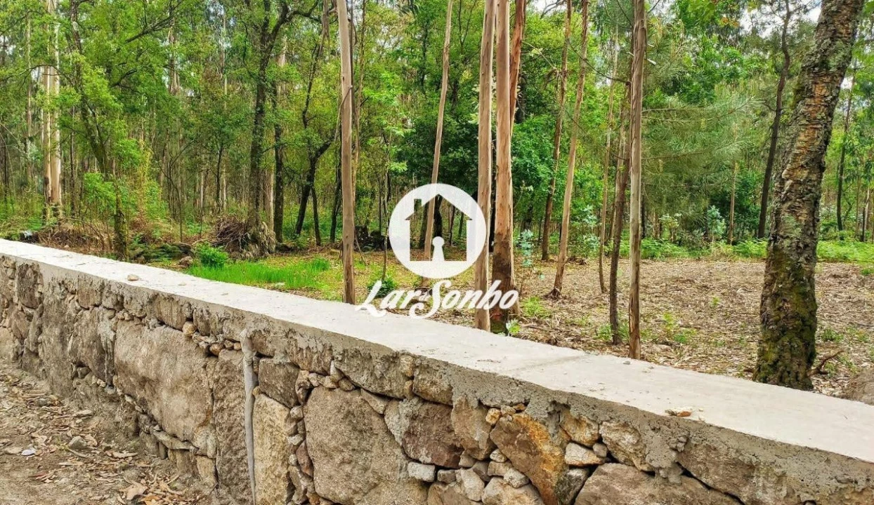 Terreno para Venda em Remelhe Foto 17