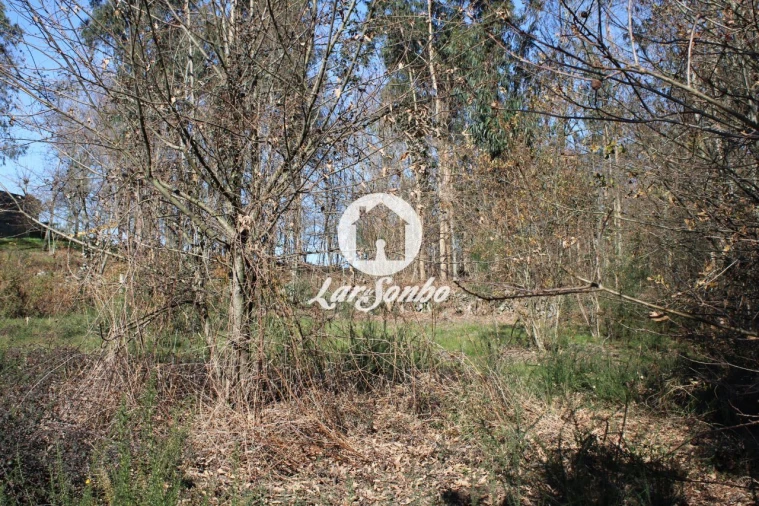 Terreno para Venda em Remelhe Foto 5