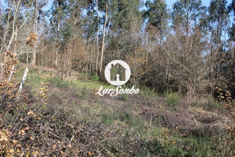 Terreno para Venda em Remelhe Foto 10