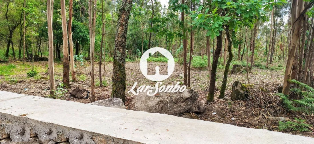 Terreno para Venda em Remelhe Foto 12