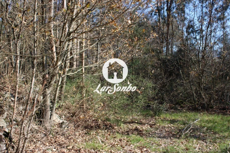 Terreno para Venda em Remelhe Foto 13