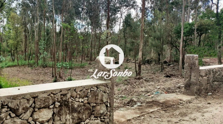 Terreno para Venda em Remelhe Foto 15