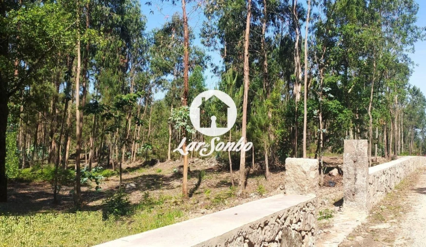 Terreno para Venda em Remelhe Foto 16