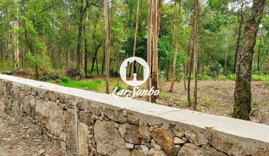 Terreno para Venda em Remelhe Foto 17