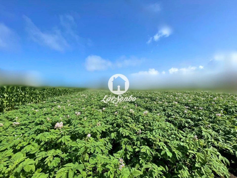 Terreno para Venda em Apúlia e Fão Foto 9