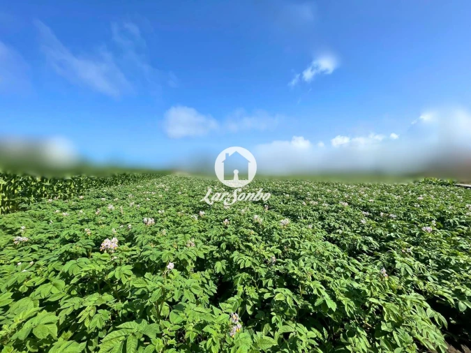 Terreno para Venda em Apúlia e Fão Foto 7